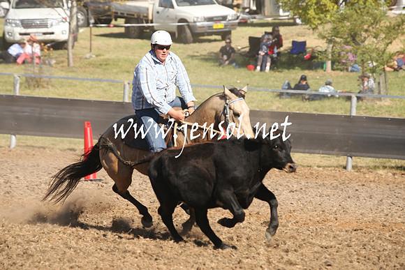 MossValeCampdraft2013_0888