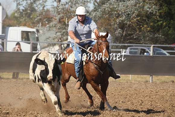 MossValeCampdraft2013_0594