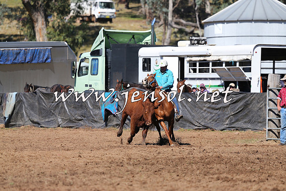 CabanandraCampdraft2015_0698