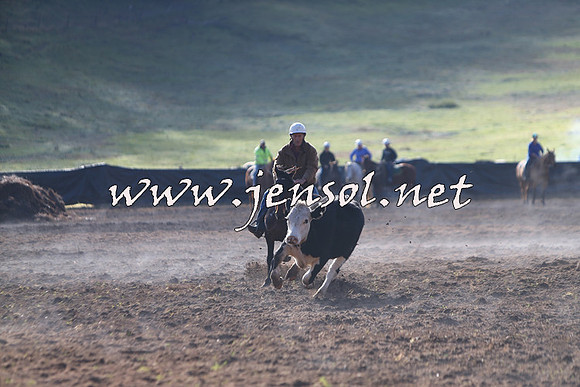 CabanandraCampdraft2015_0647