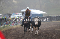 Buff Rogers Novice