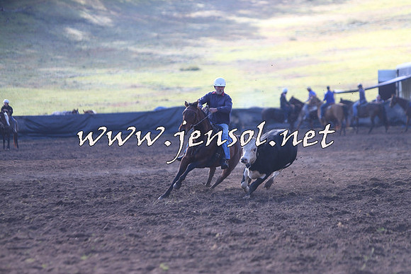 CabanandraCampdraft2015_0664