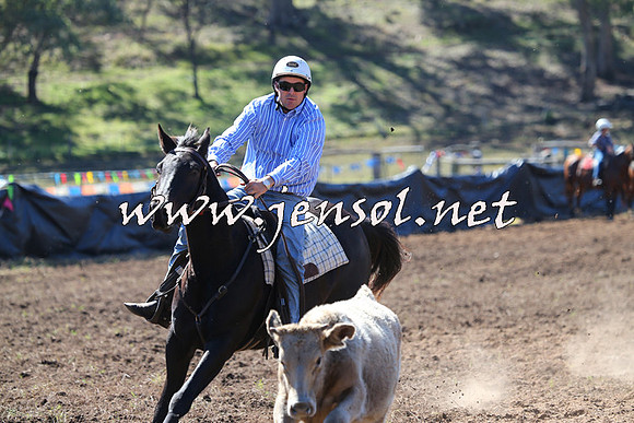 CabanandraCampdraft2015_0844