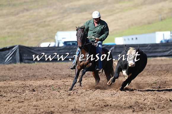 CabanandraCampdraft2015_0678