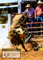 TaralgaRodeo2019_5642