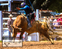 TaralgaRodeo2019_5515