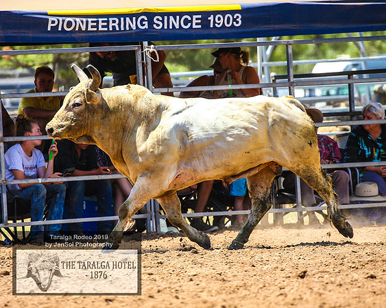 TaralgaRodeo2019_6060