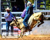 TaralgaRodeo2019_5530