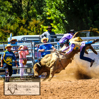 TaralgaRodeo2019_5597
