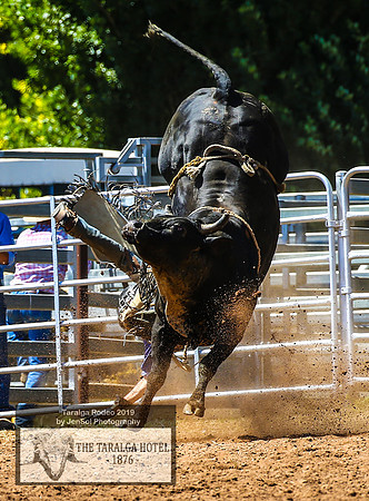 TaralgaRodeo2019_5564