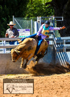 TaralgaRodeo2019_5600