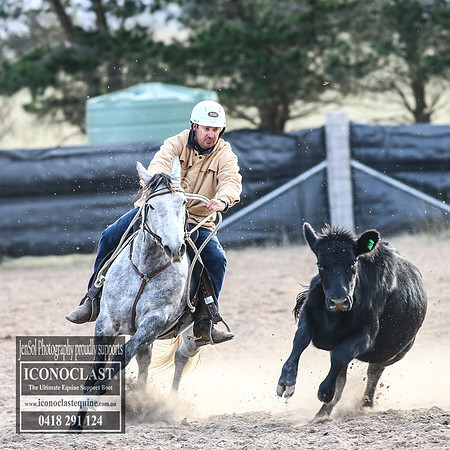 GoulburnCampdraft2018_9115