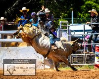 TaralgaRodeo2019_5469