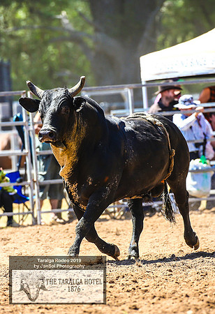 TaralgaRodeo2019_5592