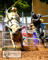 TaralgaRodeo2019_5475