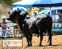 TaralgaRodeo2019_5595