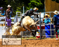 TaralgaRodeo2019_5470