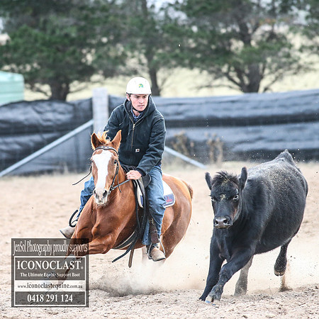 GoulburnCampdraft2018_9093