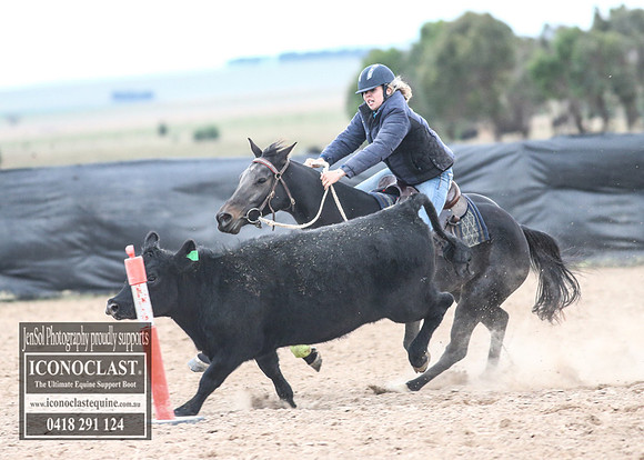 GoulburnCampdraft2018_8984