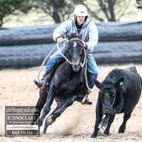 GoulburnCampdraft2018_8755