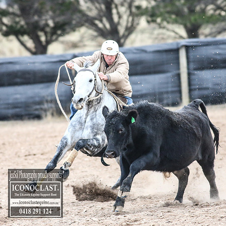 GoulburnCampdraft2018_8937