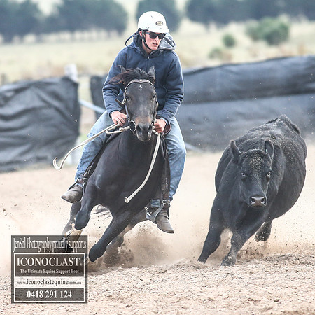 GoulburnCampdraft2018_9074