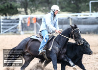 GoulburnCampdraft2018_8764