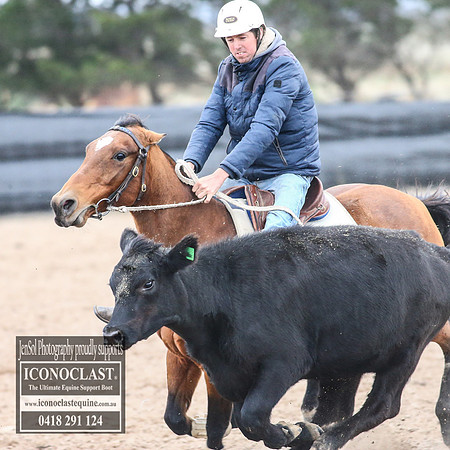GoulburnCampdraft2018_8810