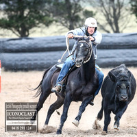GoulburnCampdraft2018_8743