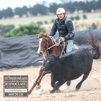 GoulburnCampdraft2018_8880