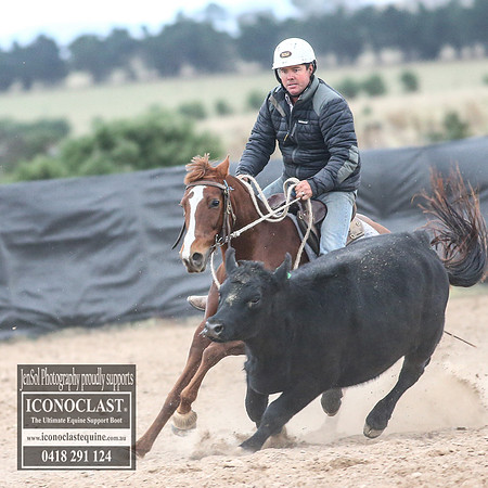 GoulburnCampdraft2018_8880