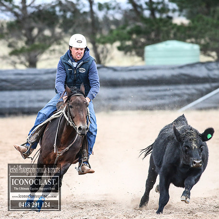 GoulburnCampdraft2018_8782