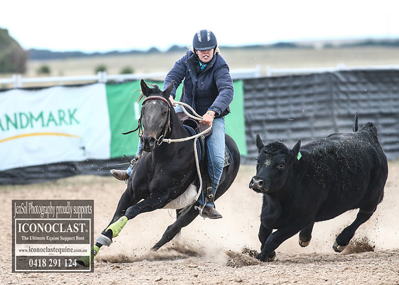 GoulburnCampdraft2018_9000