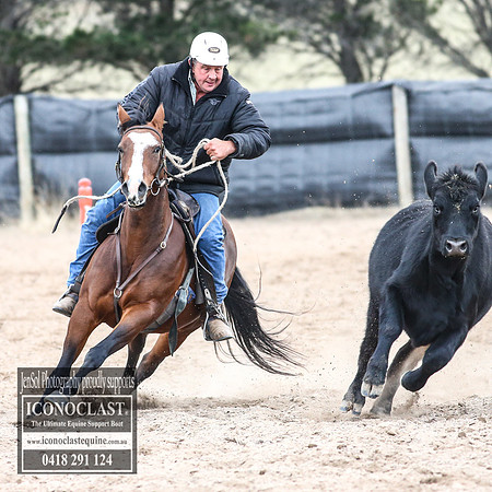 GoulburnCampdraft2018_8712