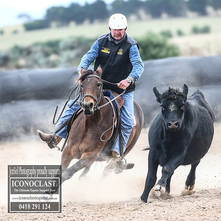 GoulburnCampdraft2018_9041