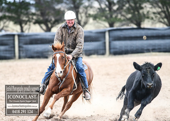 GoulburnCampdraft2018_9015