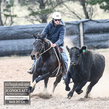 GoulburnCampdraft2018_9070