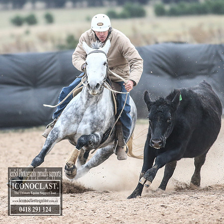 GoulburnCampdraft2018_8961