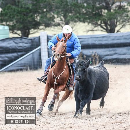 GoulburnCampdraft2018_9051