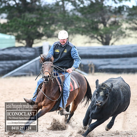 GoulburnCampdraft2018_9033