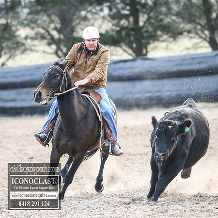 GoulburnCampdraft2018_9100