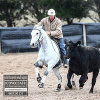 GoulburnCampdraft2018_8710