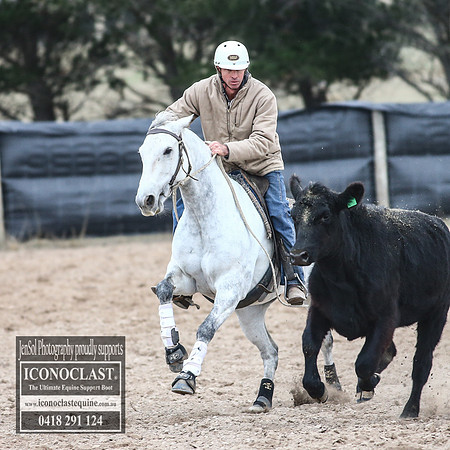 GoulburnCampdraft2018_8710