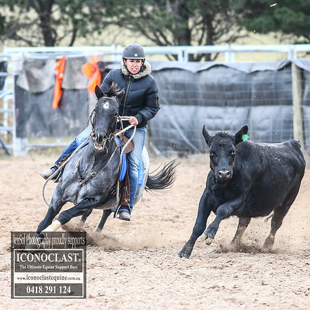 GoulburnCampdraft2018_9030