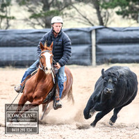 GoulburnCampdraft2018_8836