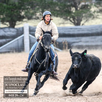 GoulburnCampdraft2018_8828