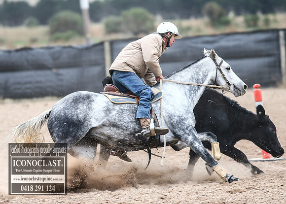 GoulburnCampdraft2018_8969