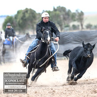 GoulburnCampdraft2018_8902
