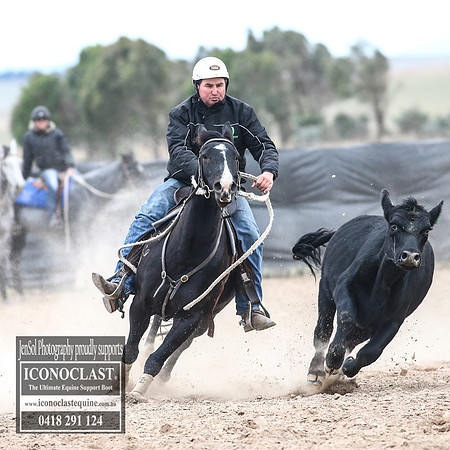 GoulburnCampdraft2018_8902
