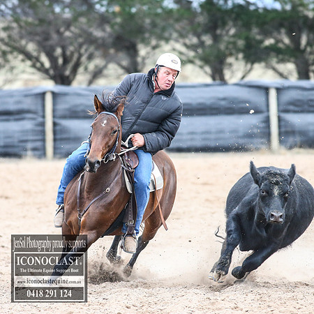 GoulburnCampdraft2018_8698
